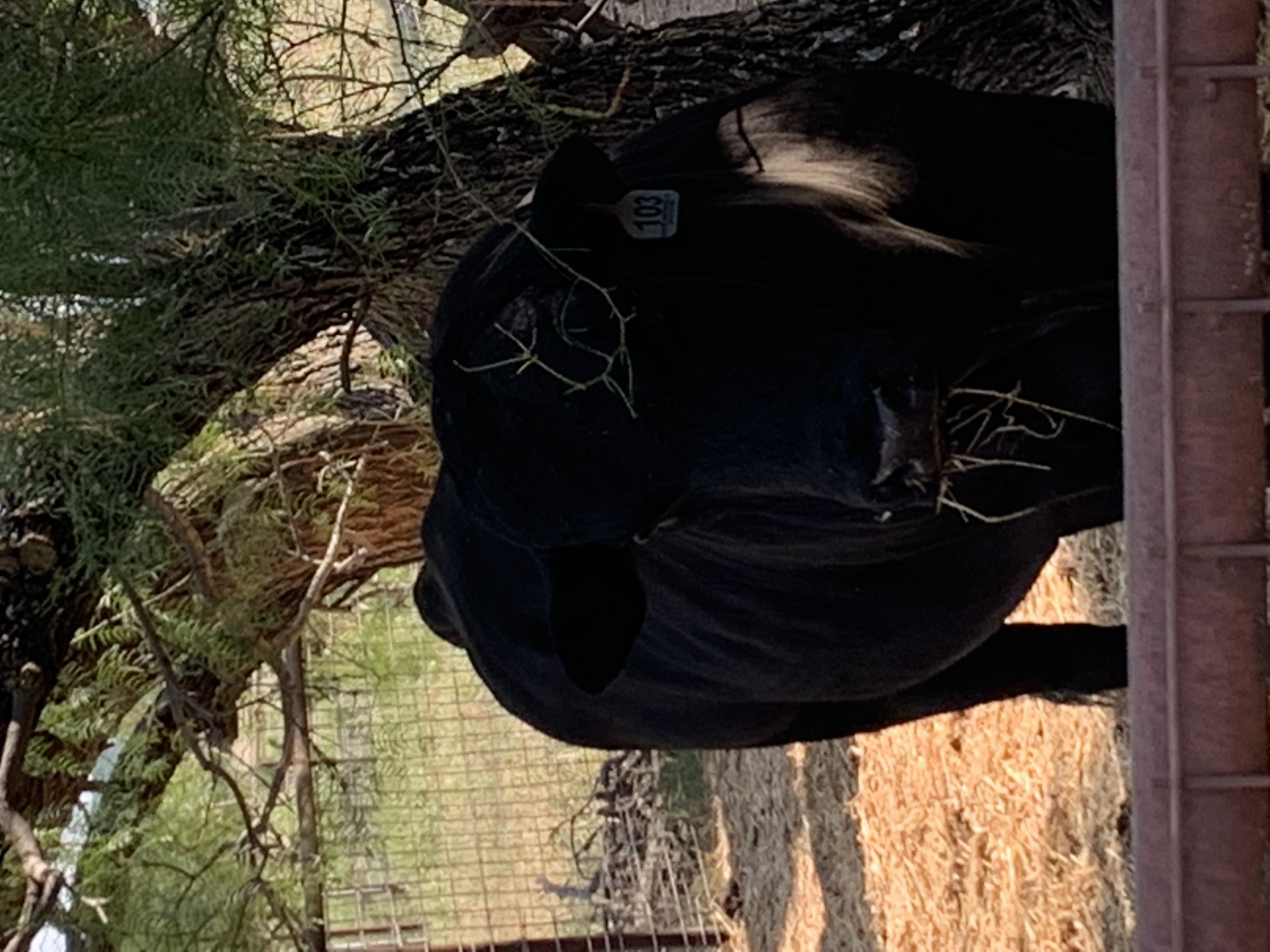 Runnels County, Texas