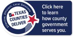 Elections - Runnels County